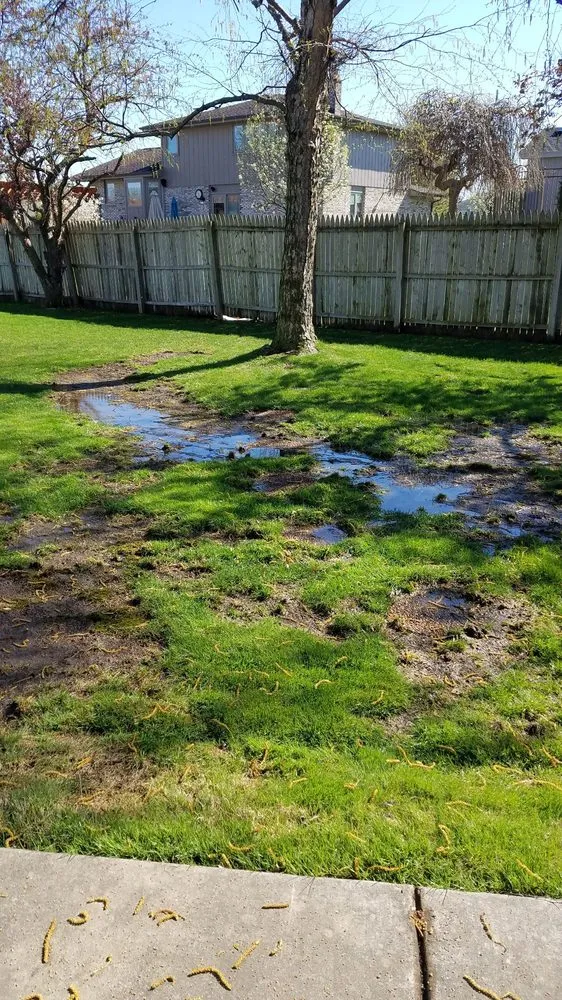 Trusted yard maintenance for year-round maintenance across Frankfort, IL - Infinity Lawn & Landscaping