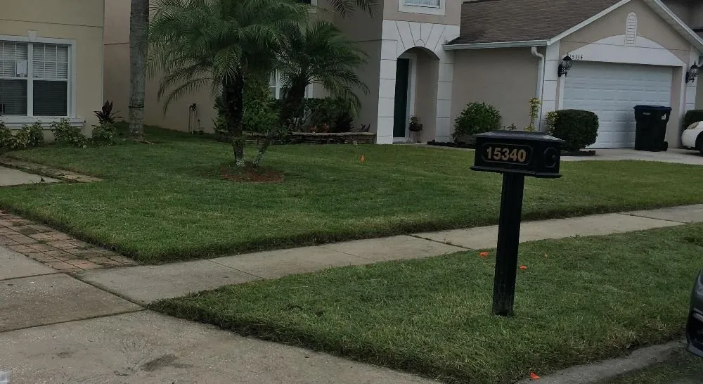 Local yard cleanup service experts serving Alafaya, FL - Infinity Lawn Care