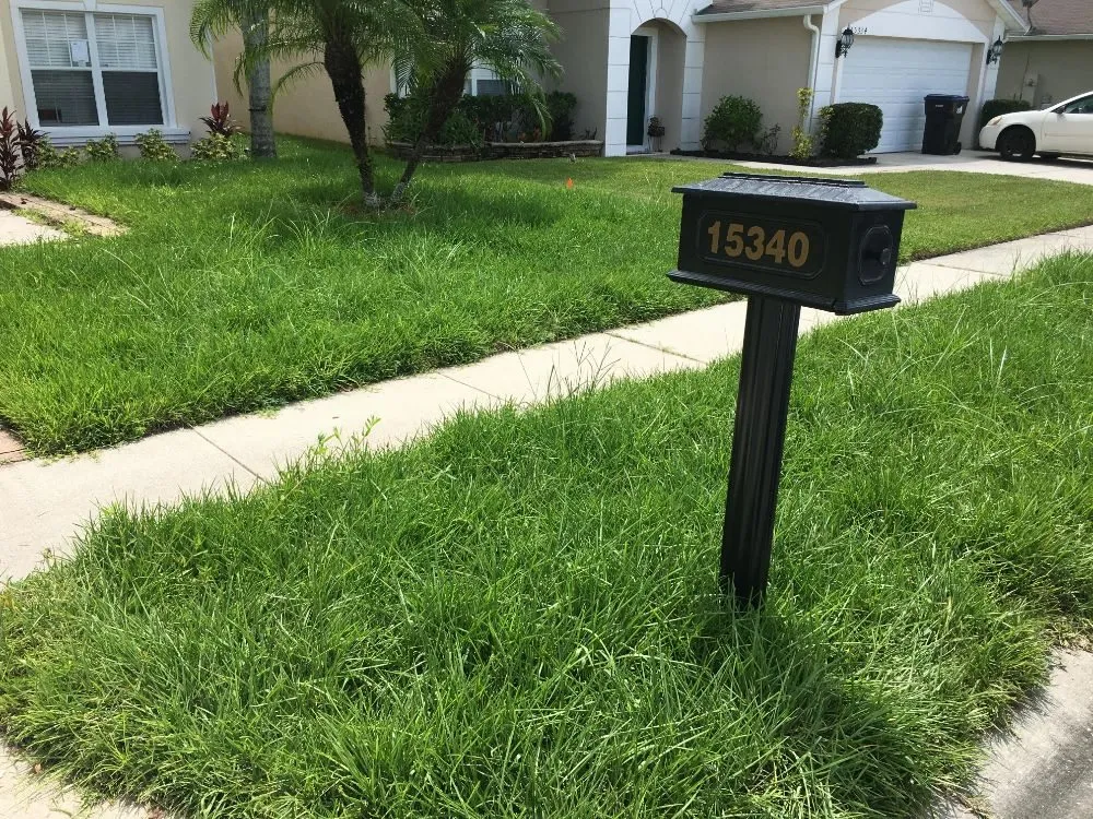 Top-rated landscape design experts serving Alafaya, FL - Infinity Lawn Care