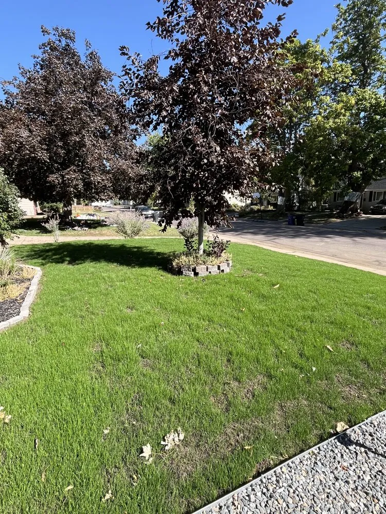 Professional landscape design in Denver, CO - Infinity Lawns and Beyond LLC