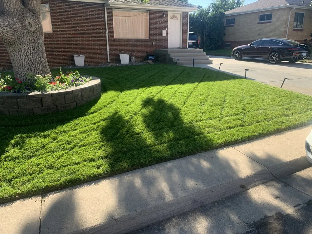 Affordable garden landscaping in Denver, CO by Infinity Lawns and Beyond LLC