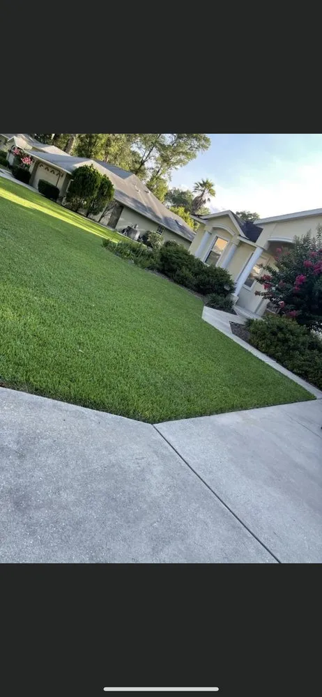 Custom landscape design with custom design in Ocala, FL by Infinity Lawns and Beyond