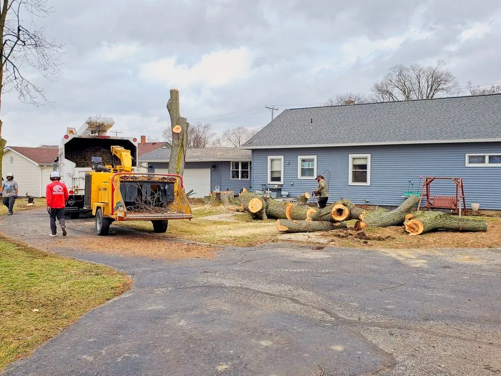 Reliable landscaping services near you in Fort Wayne, IN by Infinity Outdoor Services