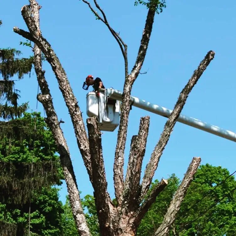 Expert lawn mowing service in Fort Wayne, IN - Infinity Outdoor Services