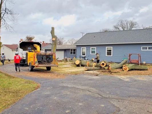 Infinity Outdoor Services