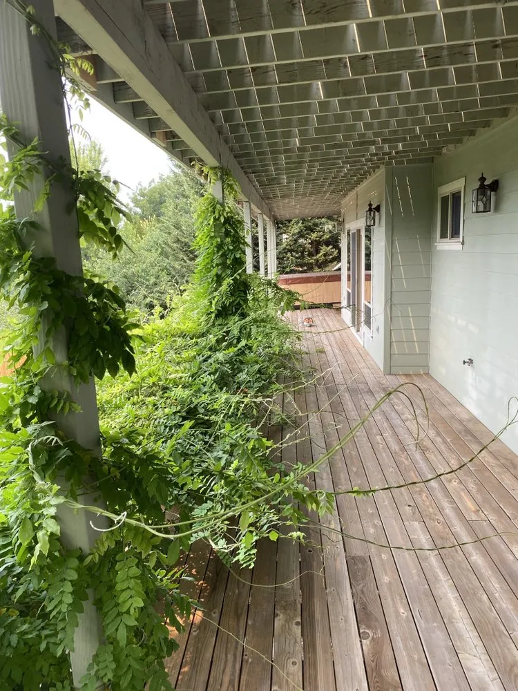 Local lawn care service for residential properties across Medford, OR - Infinity Pro Maintenance