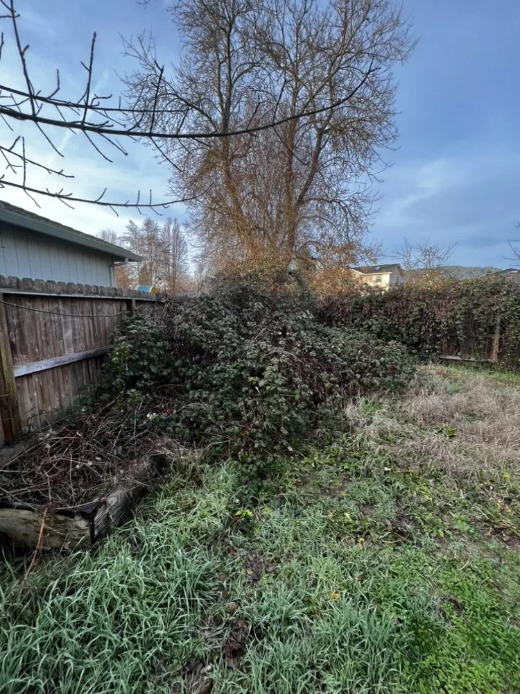 Local outdoor landscaping for residential properties across Medford, OR - Infinity Pro Maintenance