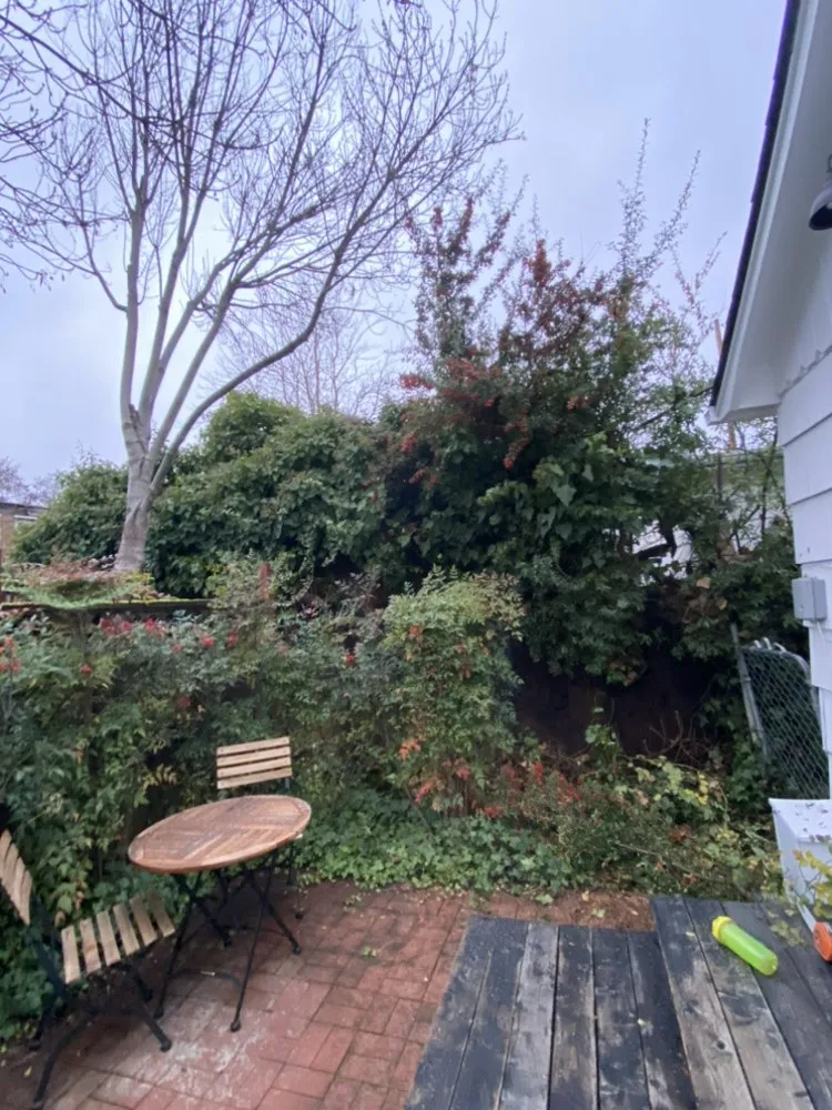 Professional lawn care service in Medford, OR - Infinity Pro Maintenance