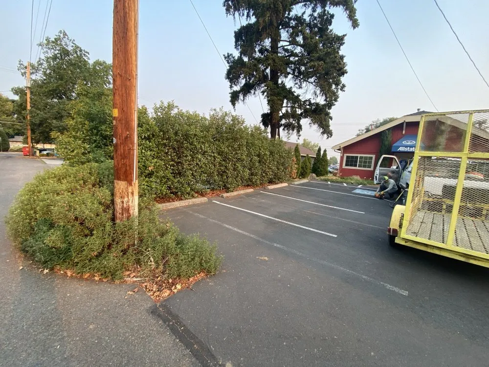 Local landscape design for year-round maintenance in Medford, OR by Infinity Pro Maintenance