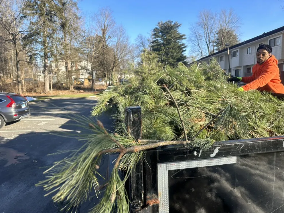 Reliable lawn care service for homes across Windsor, CT - Infinity Property Maintenance