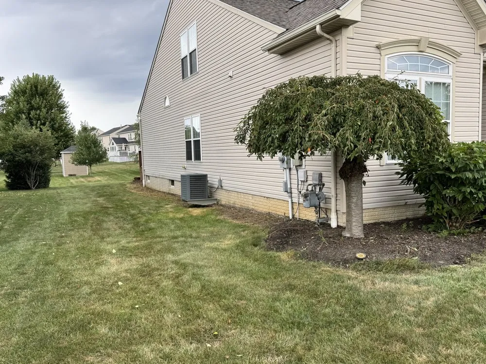 Expert landscape design in Brook Park, OH - Infinity Property Management