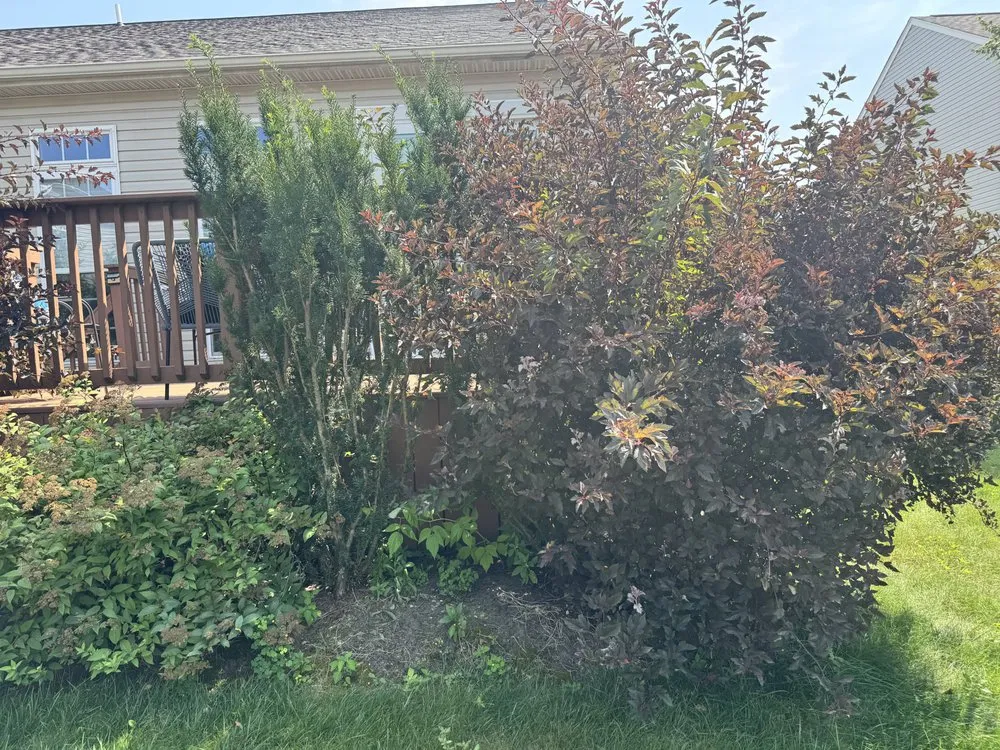 Local lawn care service with custom design in Brook Park, OH by Infinity Property Management