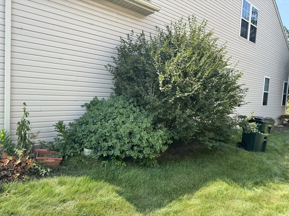 Top-rated garden landscaping in Brook Park, OH by Infinity Property Management