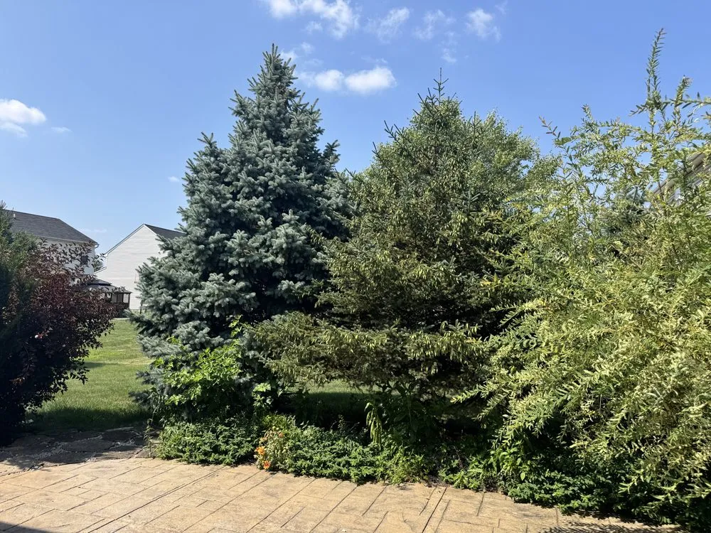 Top-rated garden landscaping for year-round maintenance across Brook Park, OH - Infinity Property Management