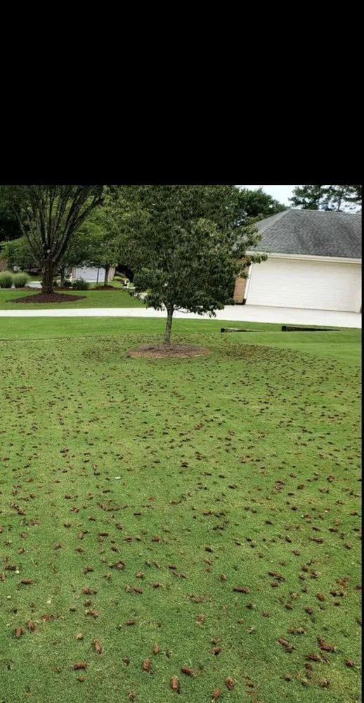 Affordable residential landscaping in Lithia Springs, GA by Infinity Scapes