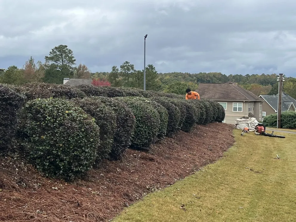 Top-rated yard cleanup service in Lithia Springs, GA - Infinity Scapes