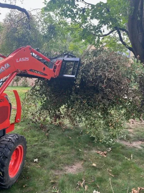 Expert landscape installation experts serving Marathon City, WI - Infinity Services Central WI