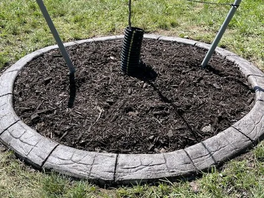 Infinity Services Central WI