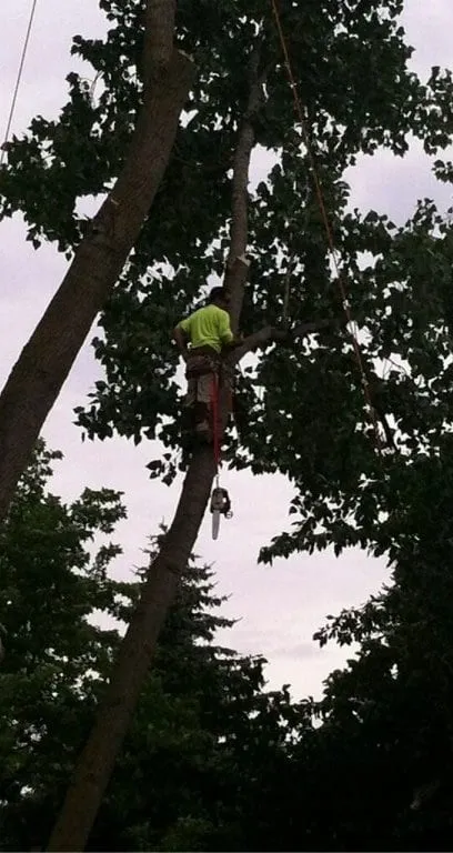 Reliable lawn care service for year-round maintenance in West Bloomfield, MI by Infinity Tree & Outdoor Services