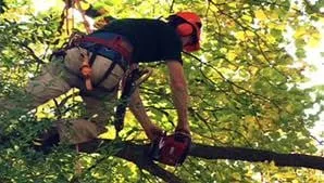 Top-rated garden landscaping experts serving West Bloomfield, MI - Infinity Tree & Outdoor Services