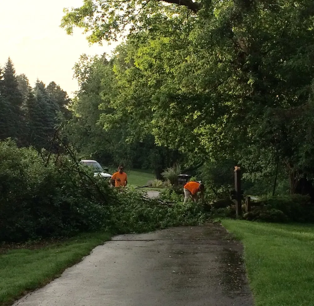Custom landscaping services near you across West Bloomfield, MI - Infinity Tree & Outdoor Services
