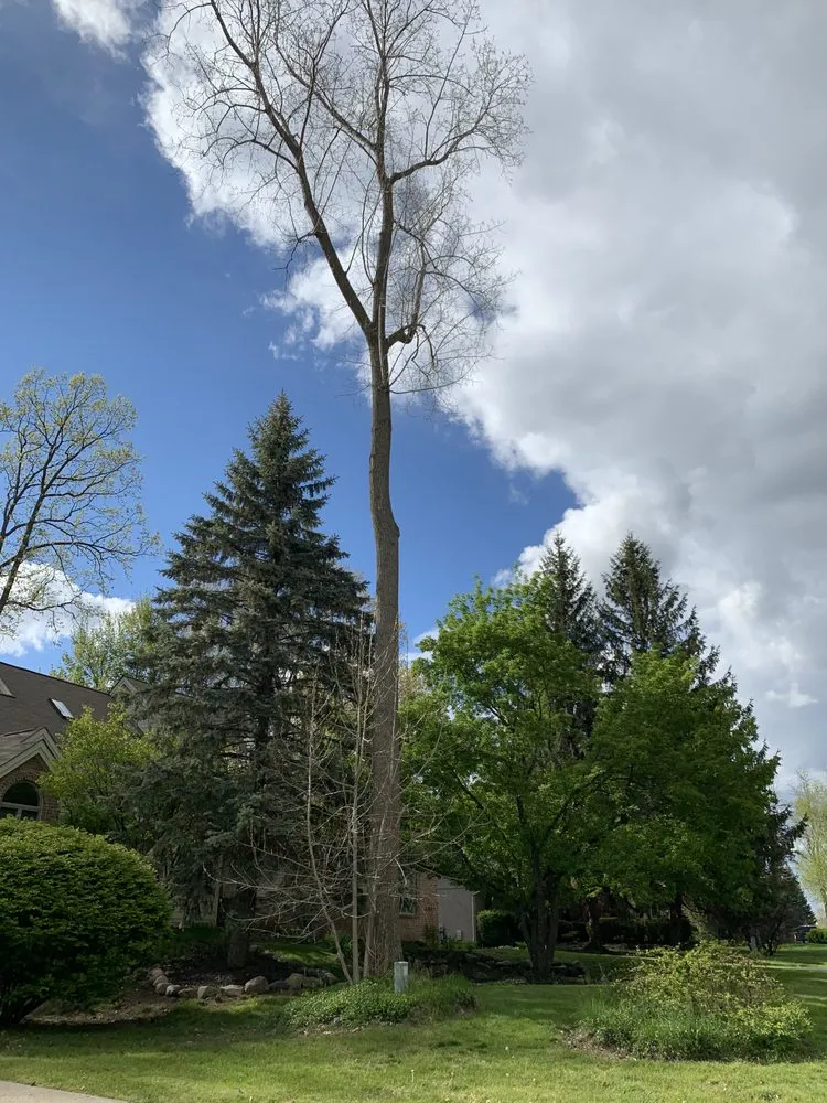 Reliable landscaping services with custom design in West Bloomfield, MI by Infinity Tree & Outdoor Services