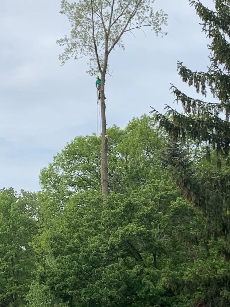 Expert outdoor landscaping in West Bloomfield, MI by Infinity Tree & Outdoor Services