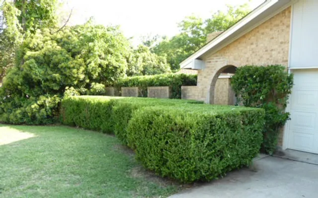 Local garden landscaping in Lewisville, TX by InfinityGreen LLC