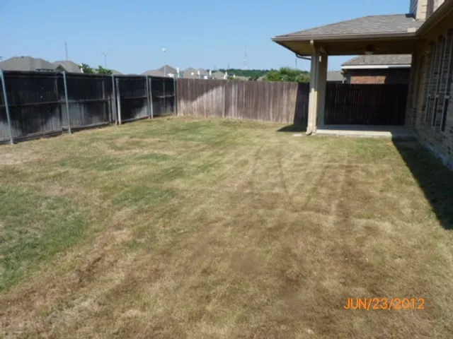 Expert yard maintenance in Lewisville, TX by InfinityGreen LLC