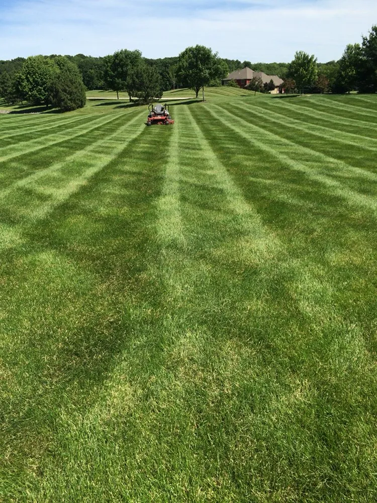 Local yard cleanup service in Oconomowoc, WI by Infused Landscape