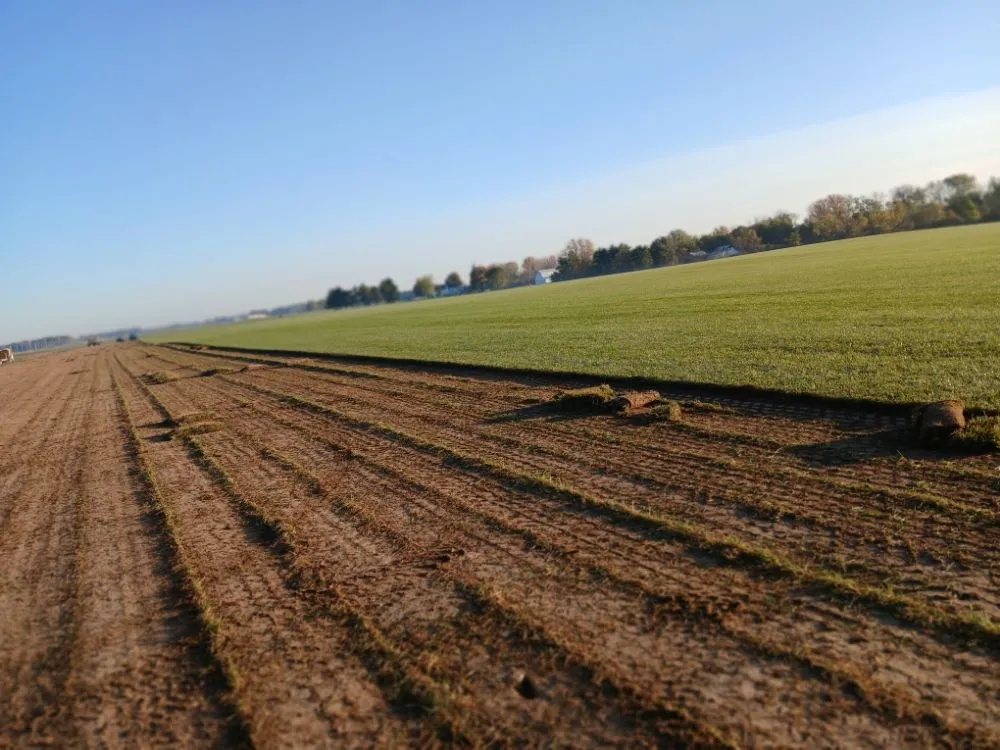 Reliable garden landscaping in Indianapolis, IN - I.N.G Landscaping