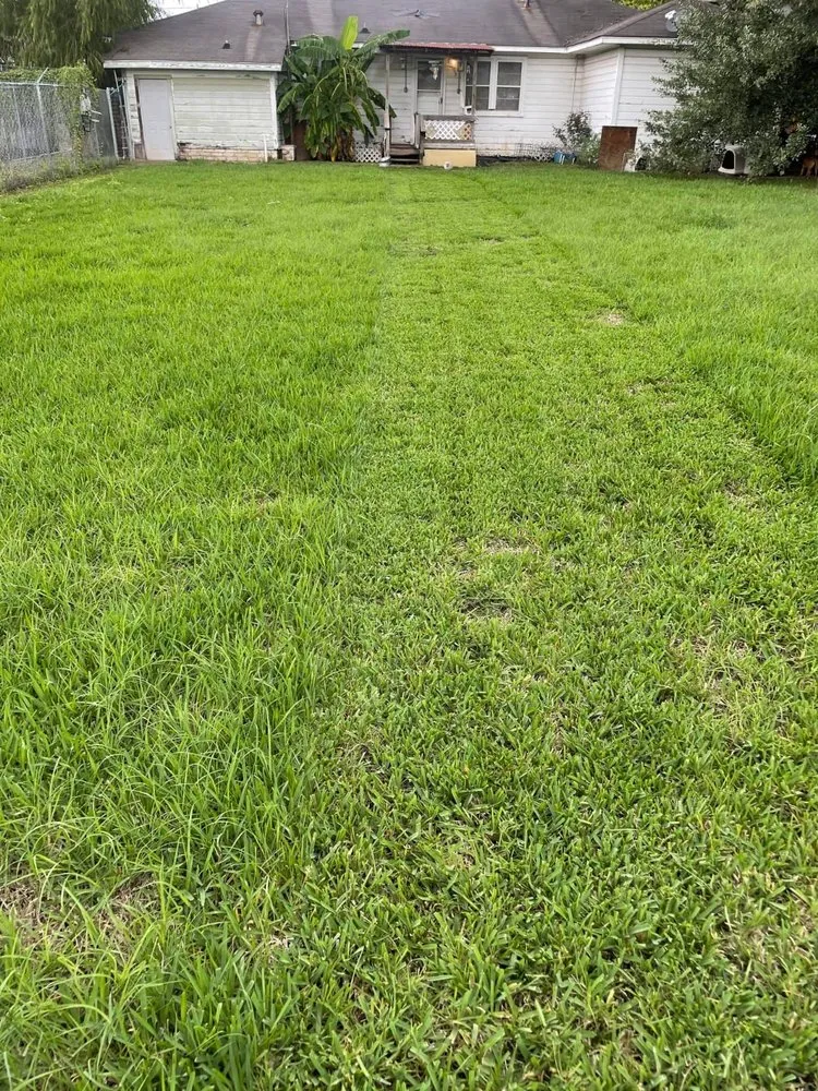 Trusted outdoor landscaping for homes across Indianapolis, IN - I.N.G Landscaping