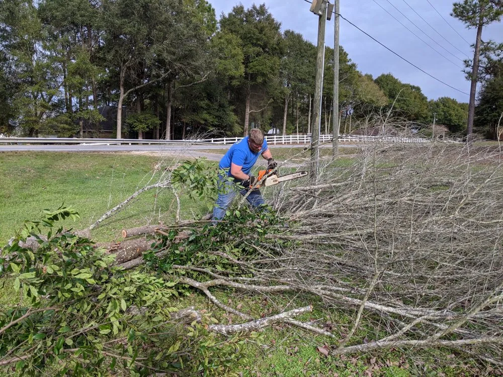 Trusted landscaping services for outdoor upgrades in Pensacola, FL by Inglett's Lawn & Tree Care