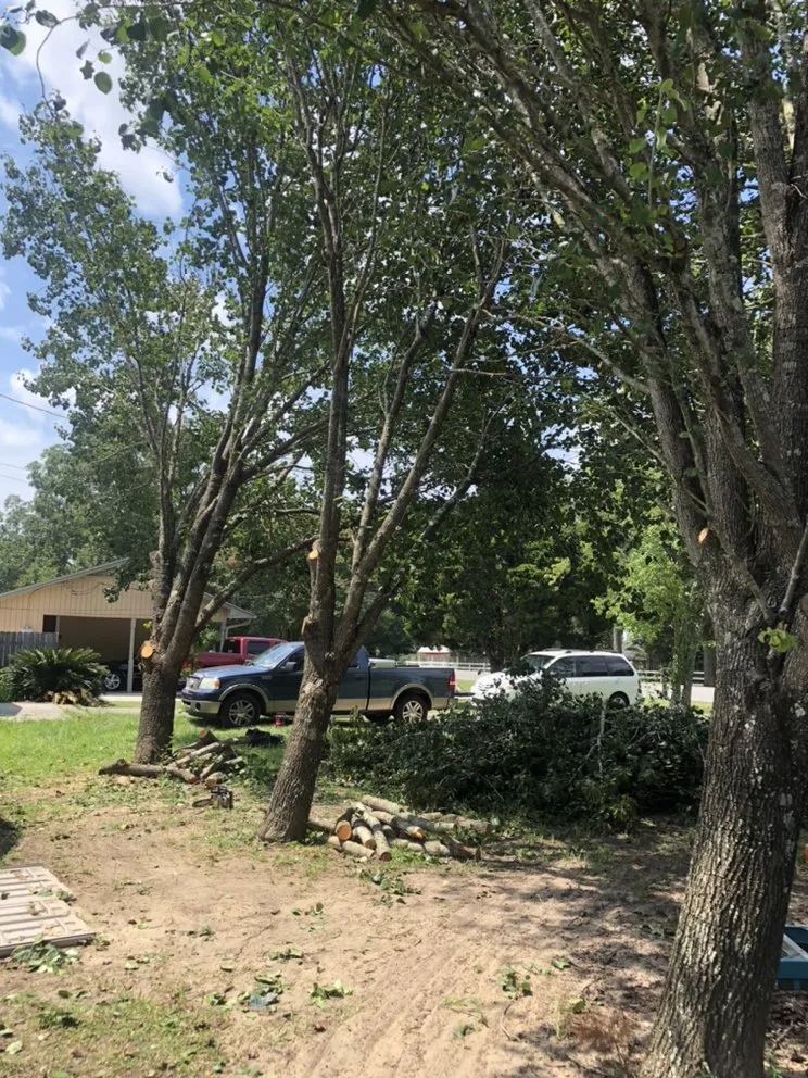 Custom residential landscaping for beautiful yards across Pensacola, FL - Inglett's Lawn & Tree Care