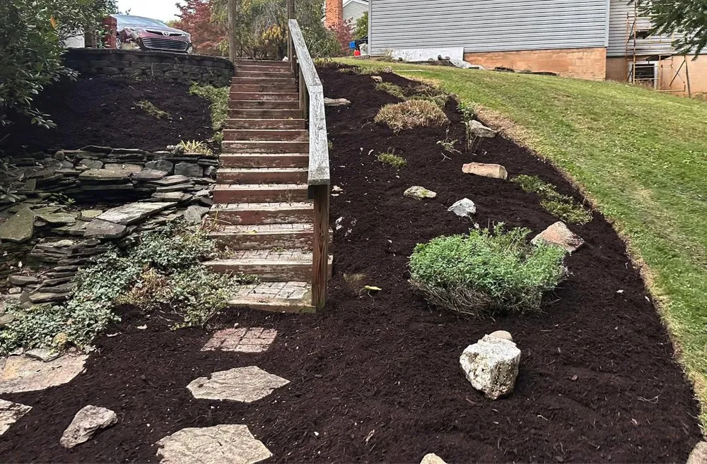 Trusted yard cleanup service for outdoor upgrades across Mechanicsburg, PA - Ingold Landscaping
