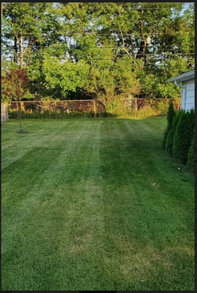 Reliable garden landscaping for beautiful yards across Franklin, IN - Ingram Building Services