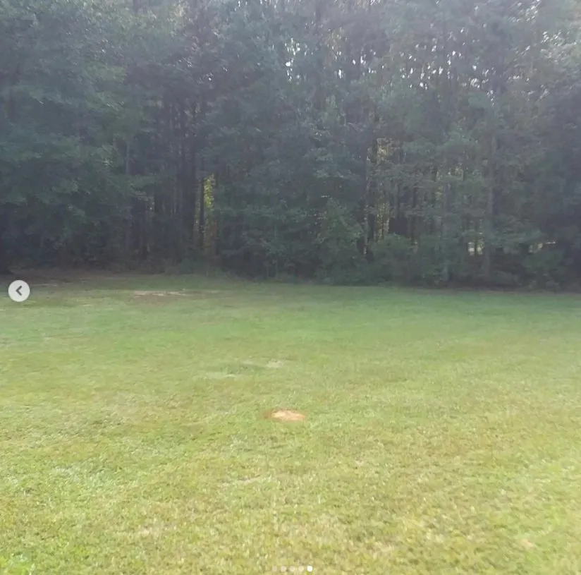 Reliable yard maintenance for homes across Sparta, GA - Ingram Clearing and Landscape