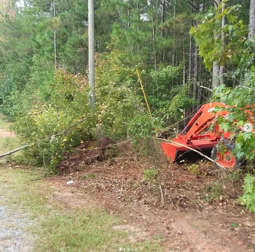 Local yard cleanup service in Sparta, GA by Ingram Clearing and Landscape