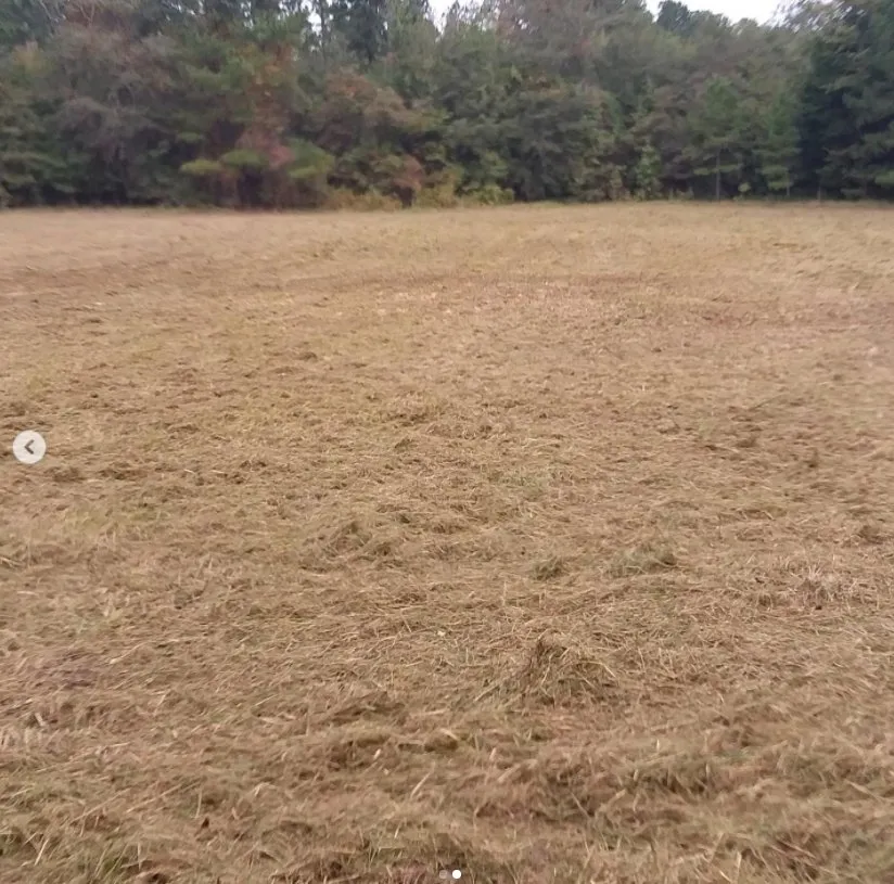 Professional lawn care service experts serving Sparta, GA - Ingram Clearing and Landscape