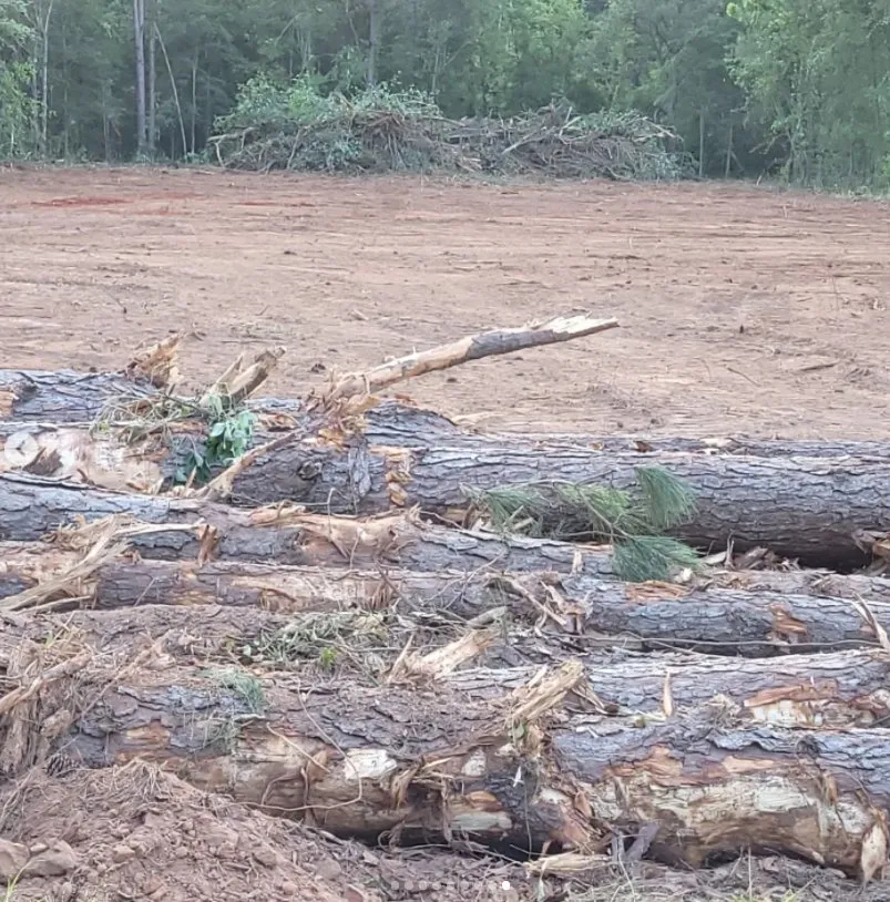 Custom yard maintenance with custom design in Sparta, GA by Ingram Clearing and Landscape