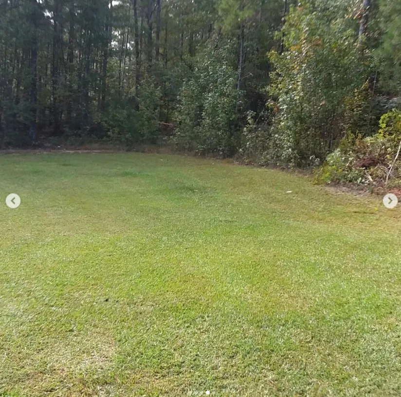 Reliable landscape installation in Sparta, GA by Ingram Clearing and Landscape