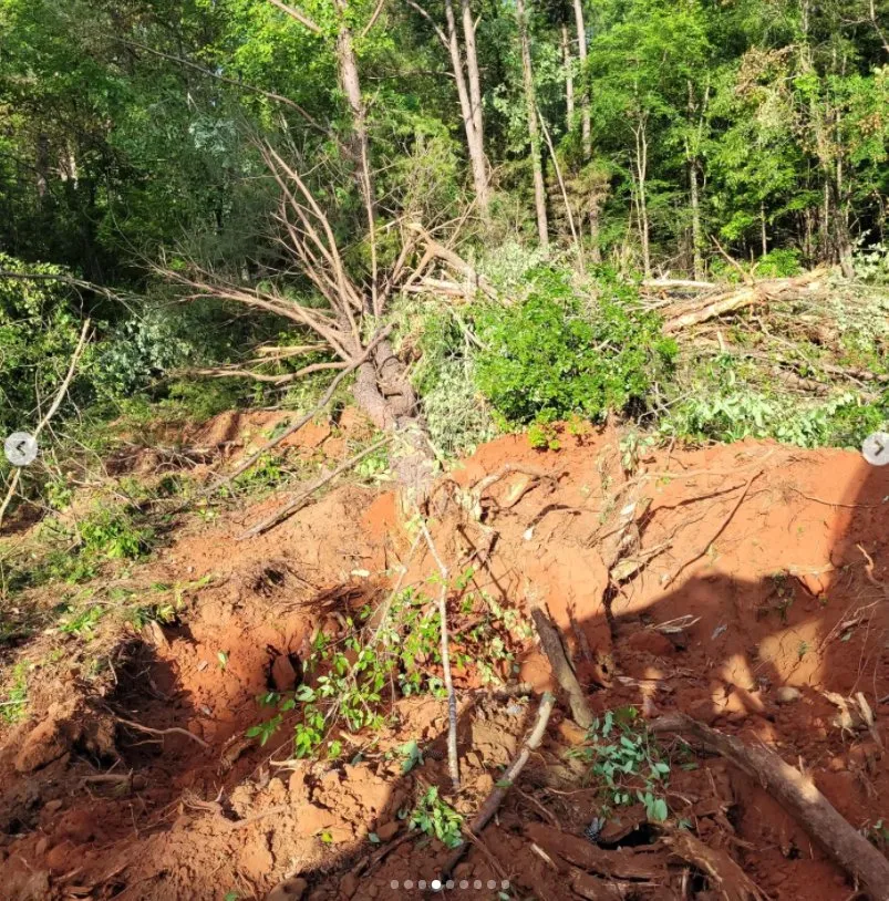 Reliable lawn care service with custom design in Sparta, GA by Ingram Clearing and Landscape