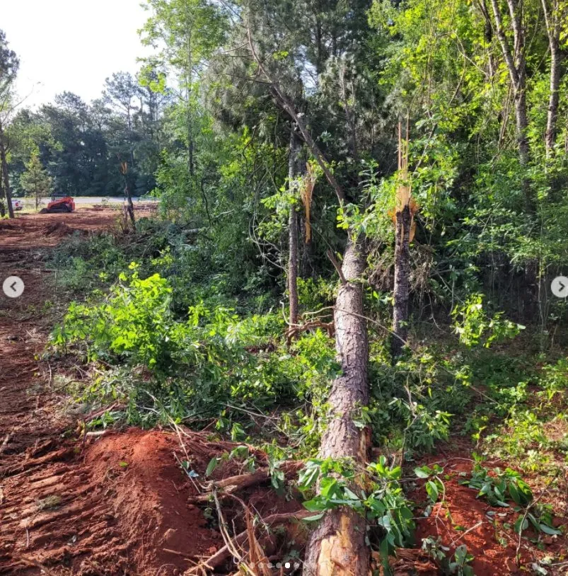 Professional outdoor landscaping for beautiful yards in Sparta, GA by Ingram Clearing and Landscape