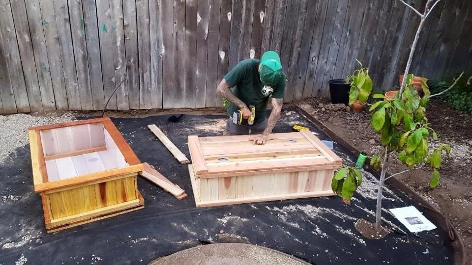 Expert yard cleanup service experts serving San Diego, CA - Ingram Landscapes