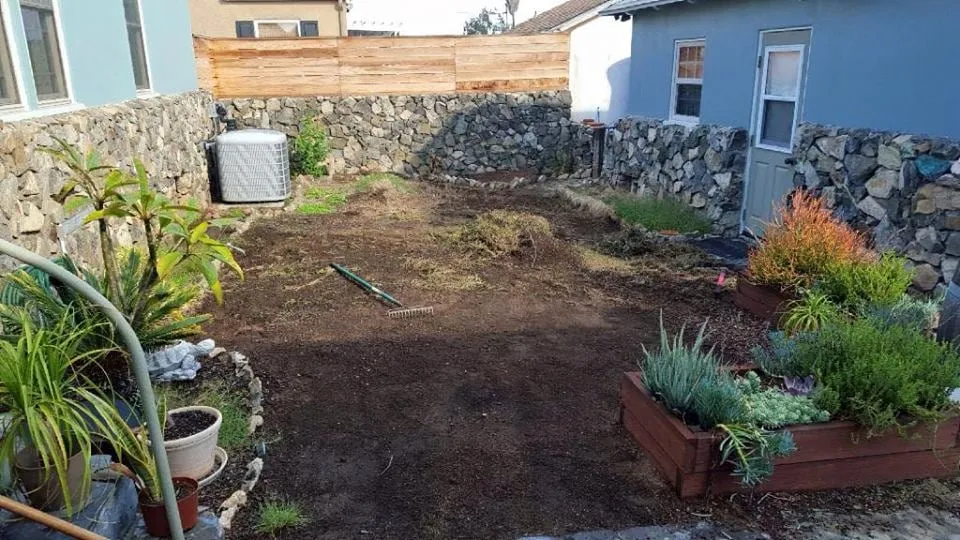Local landscape design for homes across San Diego, CA - Ingram Landscapes