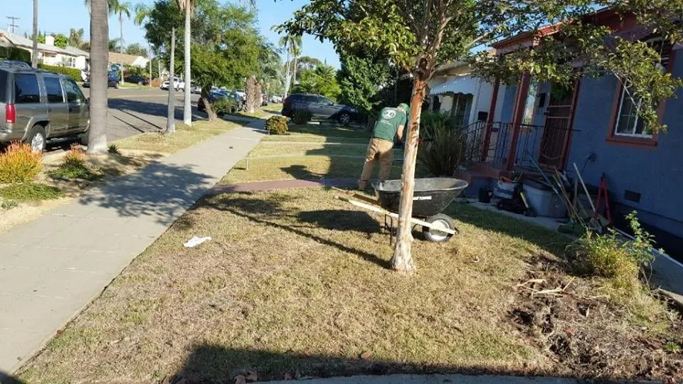 Top-rated lawn care service in San Diego, CA by Ingram Landscapes