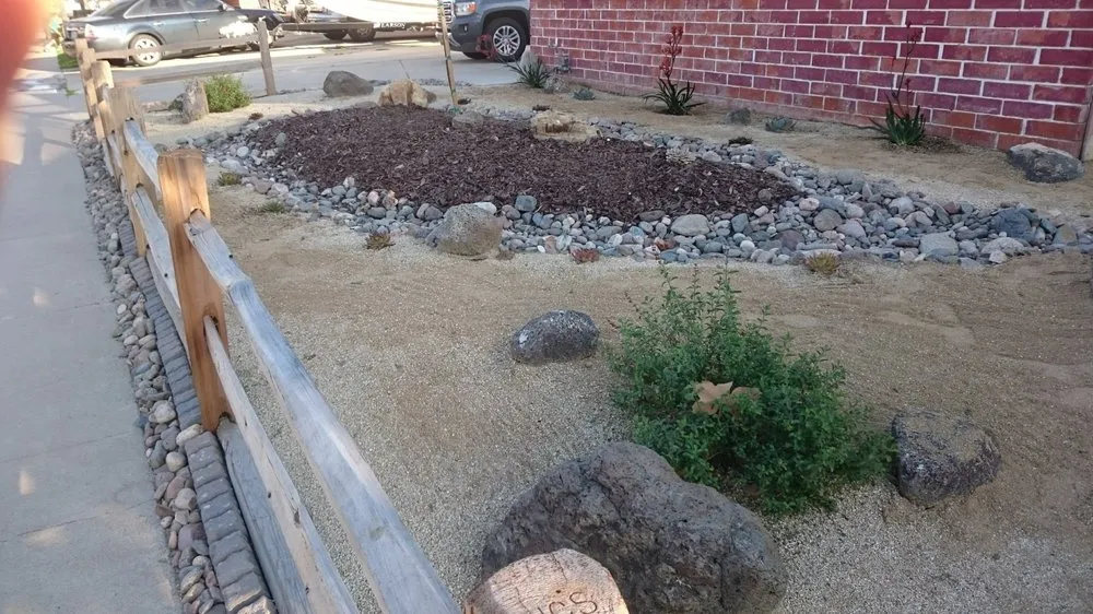 Professional yard cleanup service in San Diego, CA by Ingram Landscapes