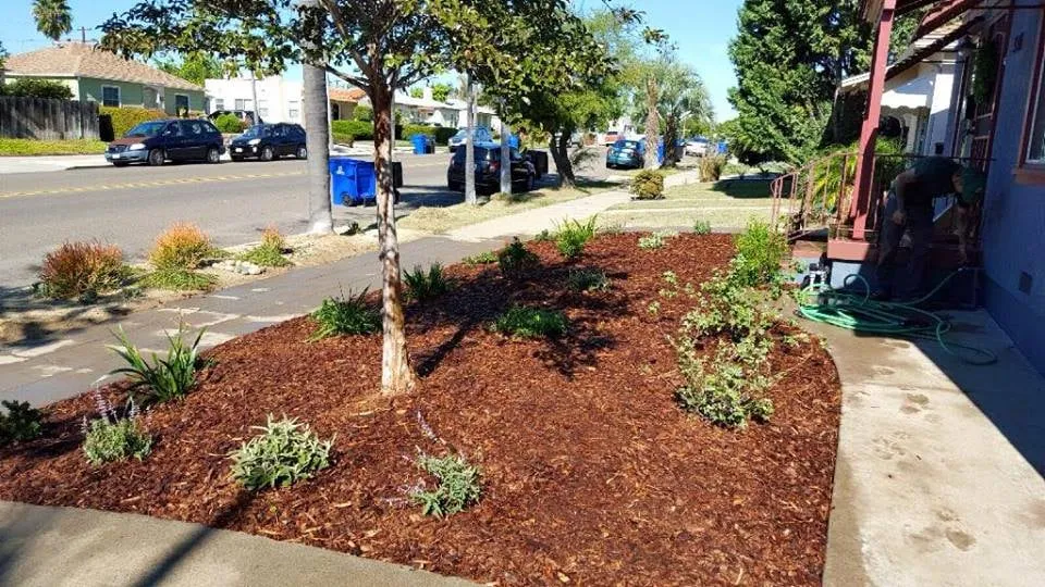 Reliable landscaping services near you across San Diego, CA - Ingram Landscapes