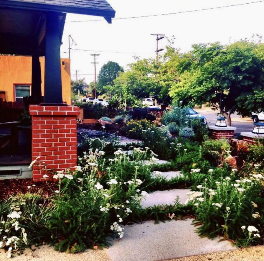 Trusted landscape design for year-round maintenance across San Diego, CA - Ingram Landscapes