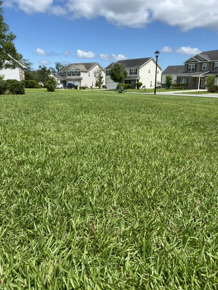 Trusted residential landscaping experts serving Guyton, GA - Ingram’s Southern Landscaping